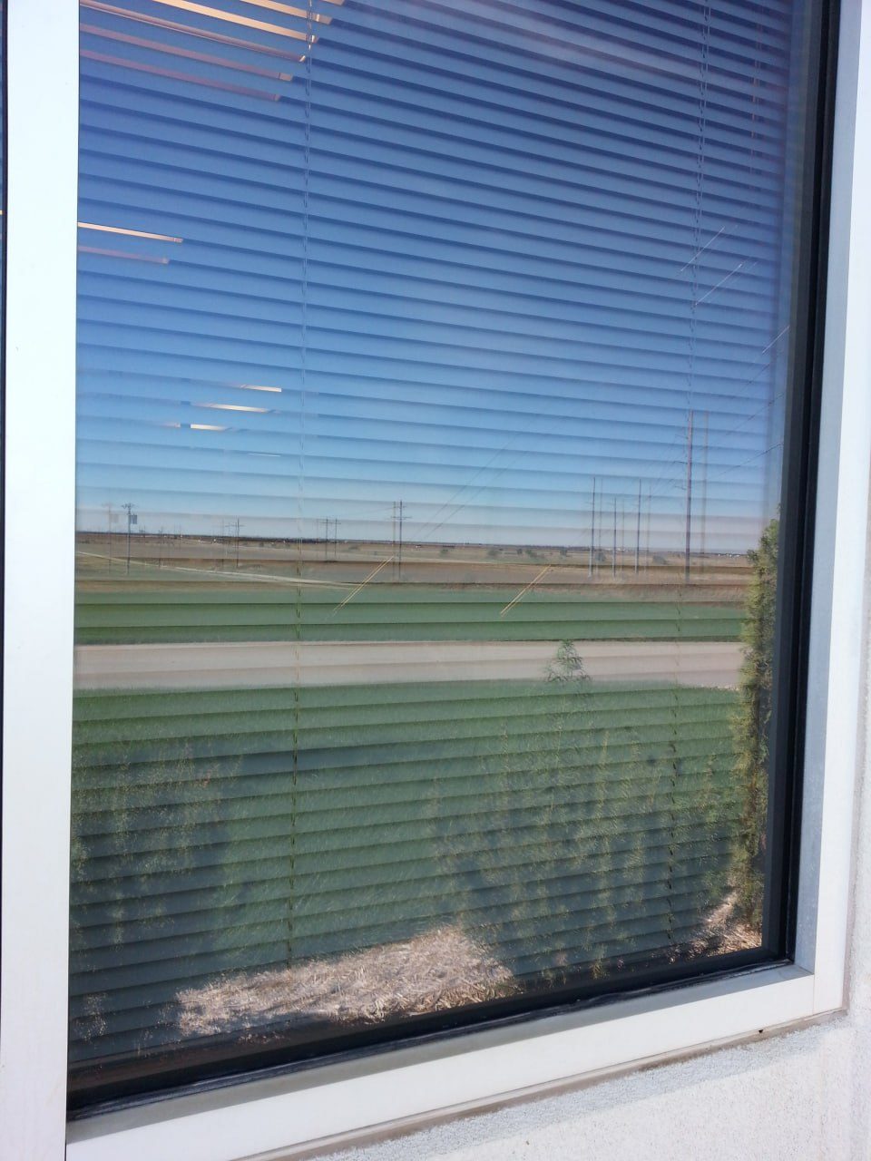 Window after professional cleaning